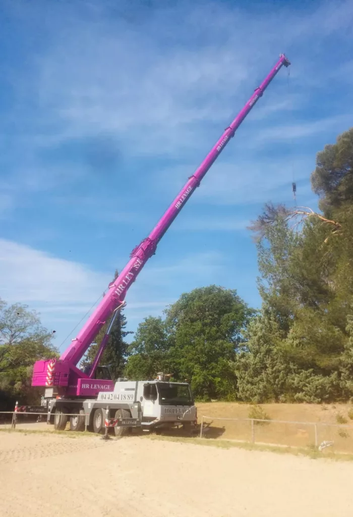 Hr Levage Location Camion Grue Grues Levage 4